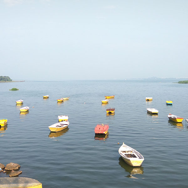 Car Rental in Bhopal
