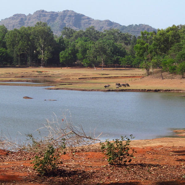 Pachmarhi Tour