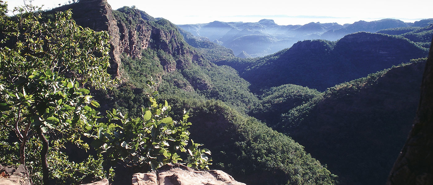 Pachmarhi Tour